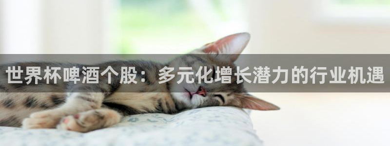 世界杯 赛程：世界杯啤酒个股：多元化增长潜力的行业机遇