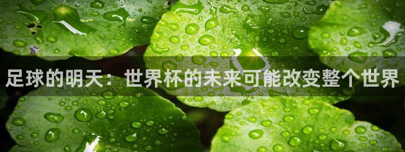 世界杯葡萄牙赛程：足球的明天：世界杯的未来可能改变整个世界