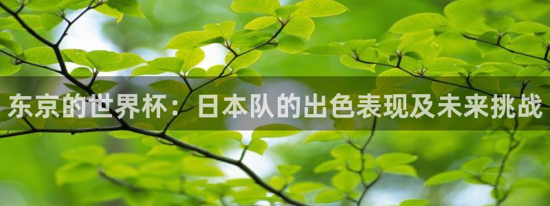 世界杯2026预选赛：东京的世界杯：日本队的出色表现及未来挑战
