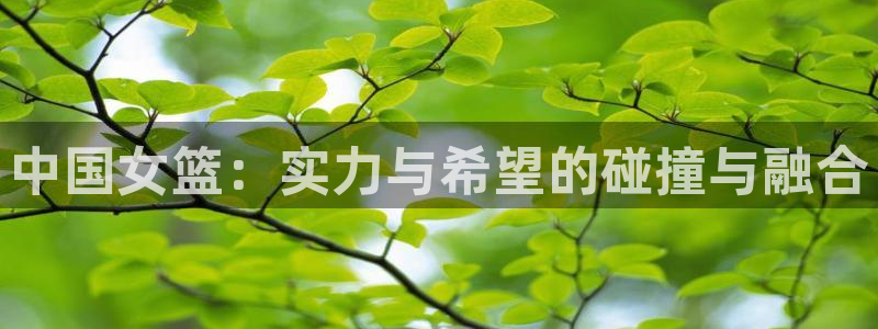 欧联杯直播：中国女篮：实力与希望的碰撞与融合