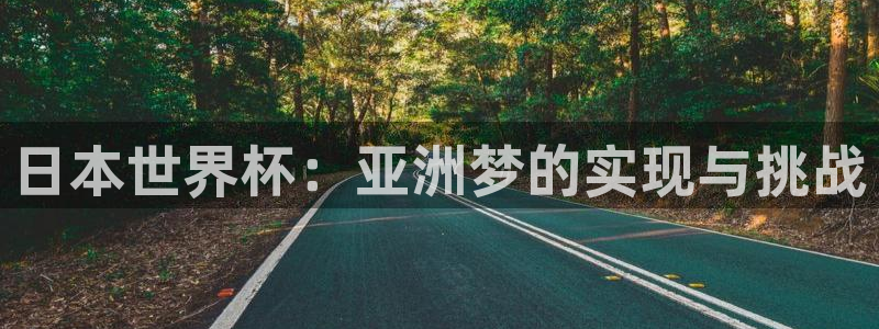 世界杯球队排名：日本世界杯：亚洲梦的实现与挑战