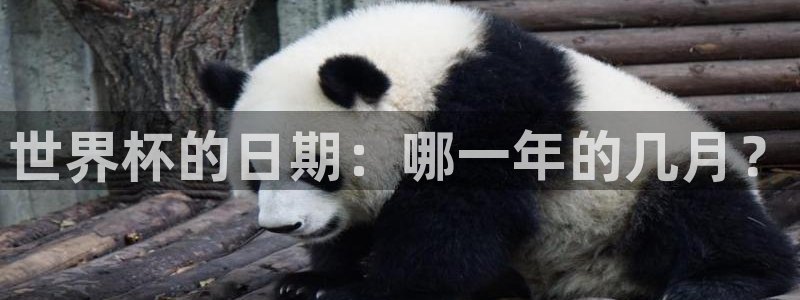 2026世界杯亚洲预选赛：世界杯的日期：哪一年的几月？