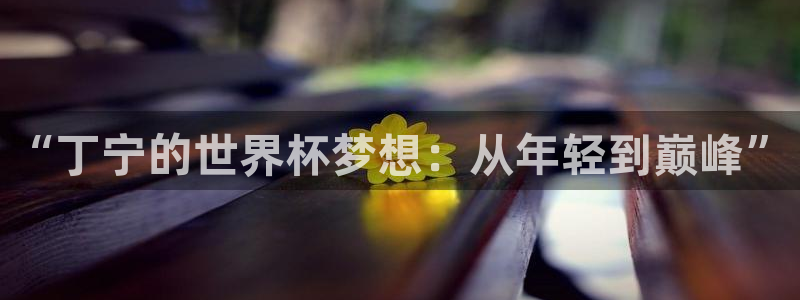 亚洲杯足球：“丁宁的世界杯梦想：从年轻到巅峰”