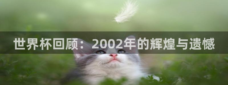 世界杯直播高清：世界杯回顾：2002年的辉煌与遗憾