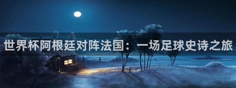 世界杯预选赛排名：世界杯阿根廷对阵法国：一场足球史诗之旅
