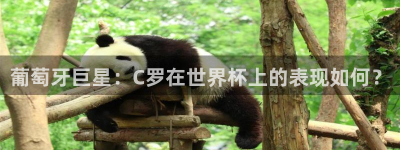 足球世界杯时间：葡萄牙巨星：C罗在世界杯上的表现如何？